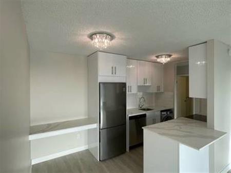 Newly Renovated 604  sqft 1 Bedroom by the Beach | 1133 Beach Avenue, Vancouver