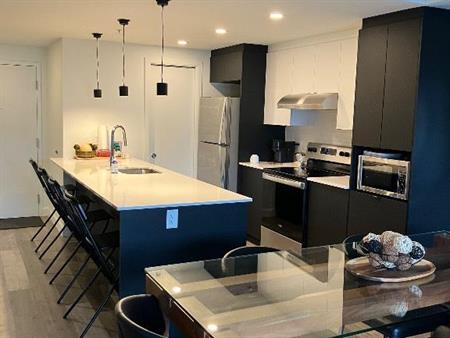 Bail à céder au 1er décembre 2025 - 1er mois gratuit - Condo locatif