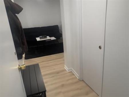 Appartement 1 Chambre a louer - 13e Avenue