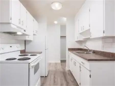 Renovated 1-Bedroom Unit – Steps from West Edmonton Mall! | 207 - 9505 165 St NW, Edmonton