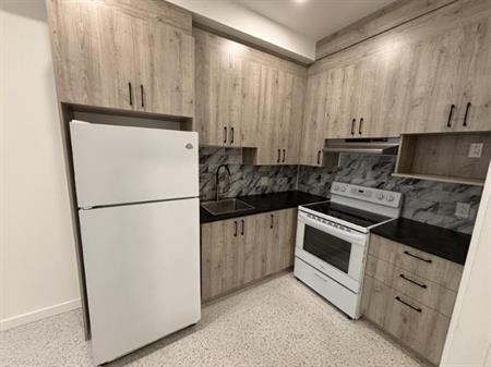 1 1/2 - Montréal (Saint-Henri) - 875 $/mois
