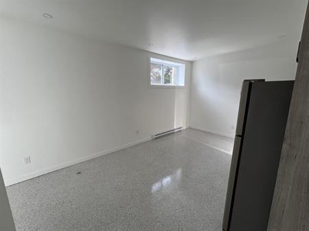 1 1/2 - Montréal (Saint-Henri) - 850 $/mois
