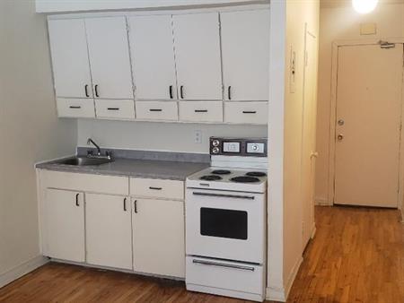 Studio - Plateau Montréal - $950.00 /mo