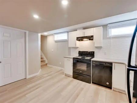 14620 114A Street Northwest, Edmonton, Alberta, Canada, T5X 1H2- Basement | 14620 114A Street Northwest, Edmonton