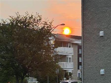 3-1/2 condo entièrement meublé et chauffé