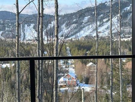 Terrains avec superbe vue sur les pentes de ski