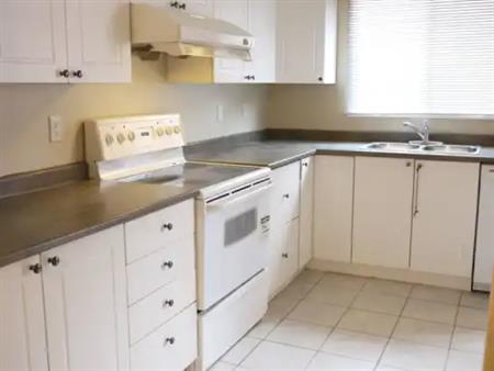 Gorgeous 3 BR Mn Flr INCLUDES DOUBLE GARAGE-New floors/windows - Pets ok | 163 Faldale Close NE, Calgary