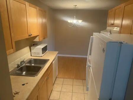 (PN519) 1 Bed 1 Bath main floor apartment storage comes with 1 parking stall | 11224 116 St Nw, Edmonton