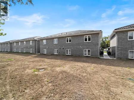 50 MAPLE | 50 MAPLE, Kingsville
