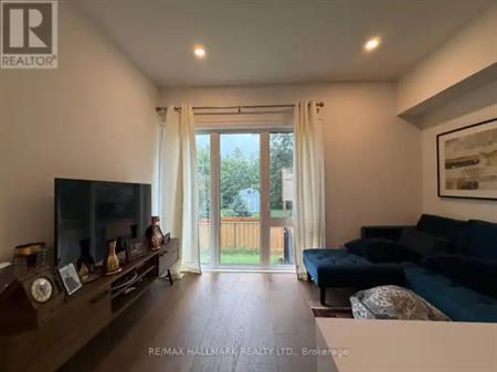 BASEMENT - 14 PERSICA STREET | BASEMENT - 14 PERSICA STREET, Richmond Hill