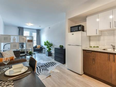 Studio - Montréal - $1,050 /mo