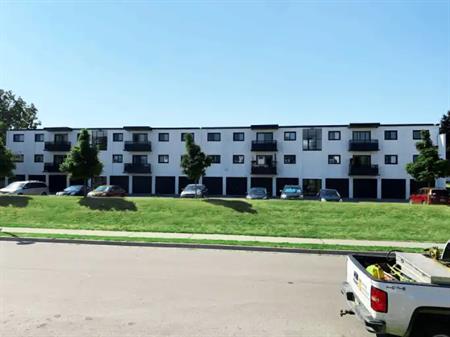 51 Woolley Street & 75-85 Elgin Street South | 51 Woolley Street, Cambridge