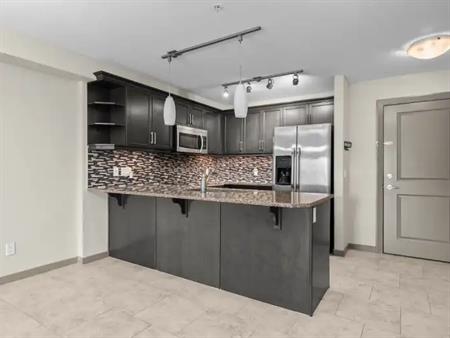 Oversized 1 Bedroom Plus Den C/W heated Parking INCLUDED | 2110 - 310 McKenzie Towne Gate, Calgary