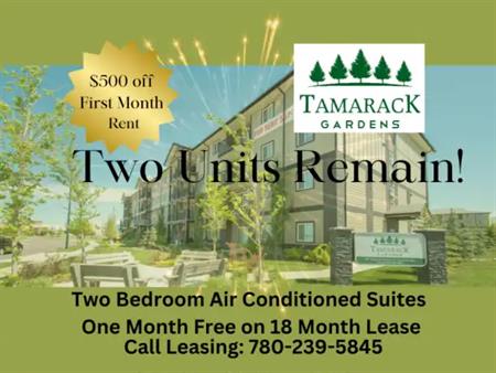 Tamarack Gardens | 707 Tamarack Way NW, Edmonton