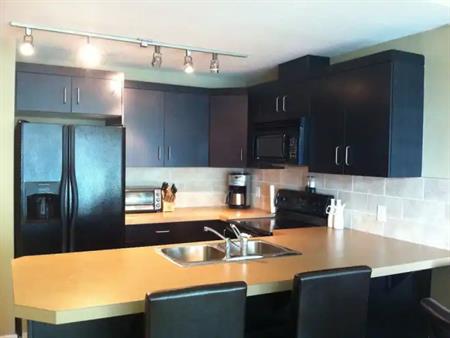 Fully Furnished 1B 1 Bath Sasso unit - Victoria Park (ALL UTILITIES INCLUDED) | 1108 - 1410 1 St SE, Calgary