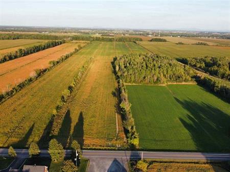 St-Blaise-sur-Richelieu (Montérégie) : Terre de culture