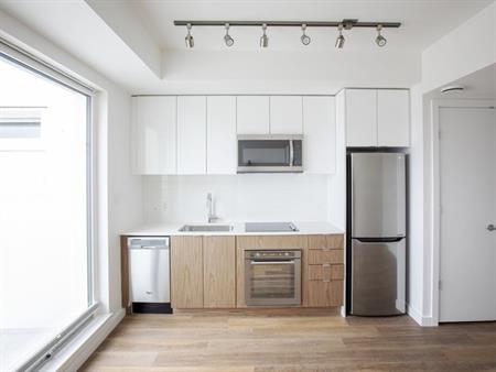 Brixton Flats | 303 East Pender Street, Vancouver