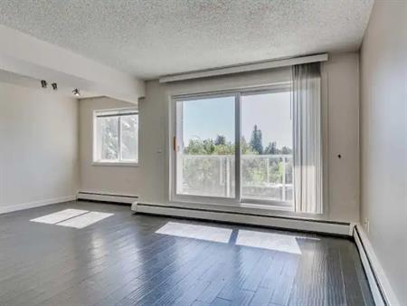 3 Bedroom 1.5 Bath with insuite laundry and open concept kitchen | 202D - 4455 Greenview Dr NE, Calgary