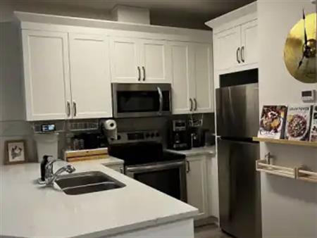 2 beds 1 bath House Furnished, Short Walking Distance to NAIT | Edmonton