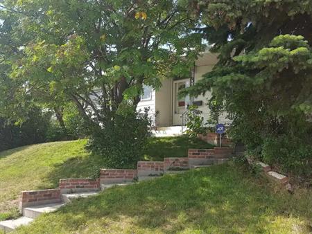 Roommate wanted, 2SLGBTQ+ home, pet-friendly, close to DT, utilities included | Calgary