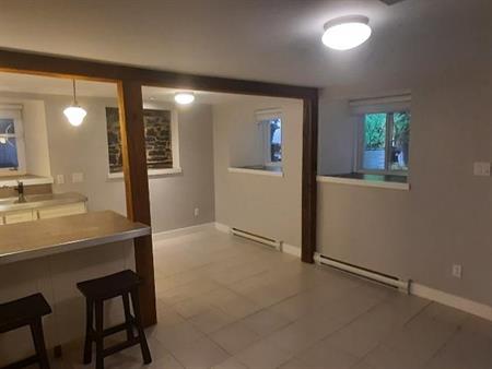 Grand 3 1/2 sur Plateau Mont-Royal