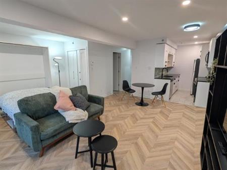2 1/2 - Montréal (Le Plateau Mont-Royal) - 1 635 $/mois
