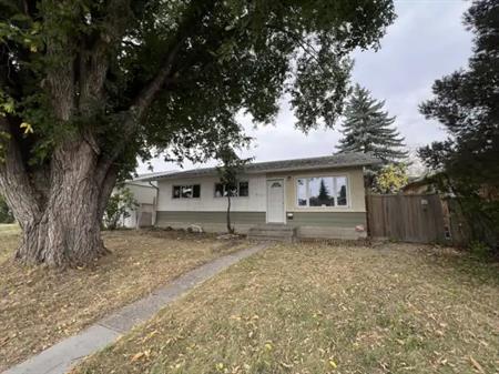 House for rent - Elmwood Area | 8102 159 Street Northwest, Edmonton