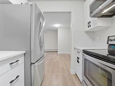 Beautiful Renovated 2 Bedroom Condo downtown for Rent! | 6 - 10160 119 Street Northwest, Edmonton