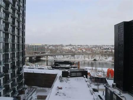 Two Bedroom / Two Bathroom Condo in the 8th Floor of the Verve -East V | 811 - 615 6 Ave SE, Calgary