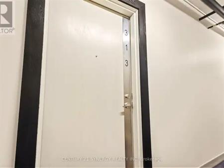 313 - 224 LYON STREET N | 313 - 224 LYON STREET N, Ottawa