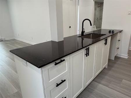 Magnifique condo 4 ½ entièrement rénové – 1050 pi²