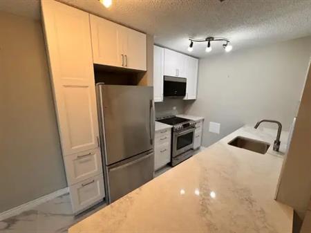2 bedroom Nature Oasis Condo w/ Fantastic Views near Bow River, D/T, and C-Train | 202 - 328 Cedar Crescent Southwest, Calgar