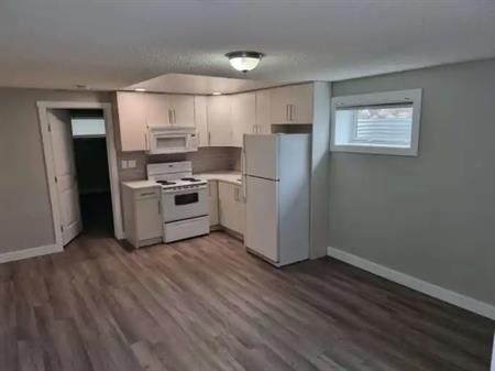 Spacious 3-Bedroom, 2-Bathroom Basement Suite for Rent | 8904 150 Street Northwest, Edmonton
