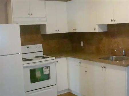 EXECUTIVE LARGE 02 BED RMS,  Separate Ent/ Laundry, Fenced Backyard | Taralake Manor, Calgary