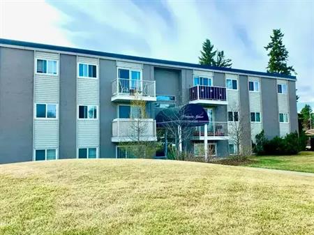 Renovated 1 Bedroom Suite Available! | 9560 163 Street Northwest, Edmonton