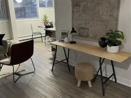 Charming Airy clean modern Condo suit professional | Calgary