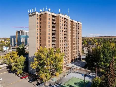 Fully Renovated 2 Bed 1 Bath Condo Unit | 4944 Dalton Dr NW, Calgary