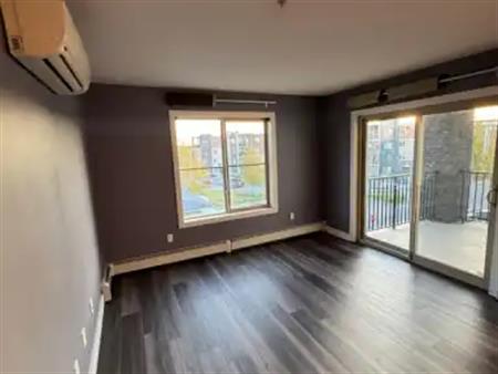 A spacious 2-bedroom, 2-bathroom unit in a highly sought-after community. | 301 - 11816 22 Ave SW, Edmonton