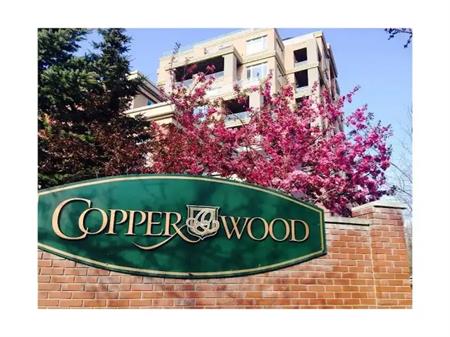 Spacious 2 Bedroom and 2 bathroom condo | 7102 - 14 Hemlock Crescent SW, Calgary