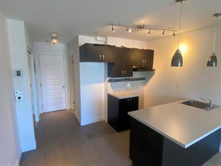 1 CH - 1 SDB - Montréal - $1,195 /mo
