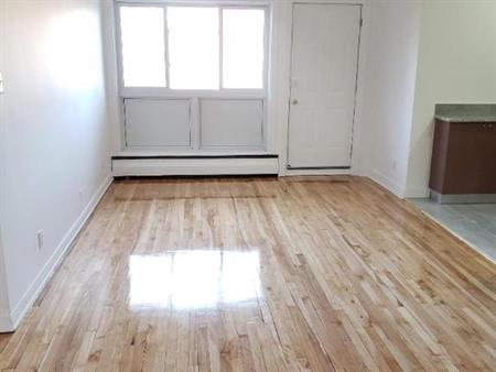 1 CH - 1 SDB - Montréal - $1,300 /mo