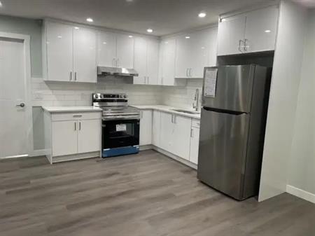 Newly Built 1 Bedroom Basment in Ambleton NW , Calgary | Calgary