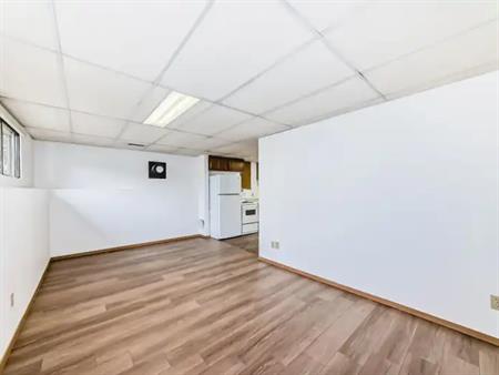 Newly Renovated & Affordable  Basement Suite | 679 Whiteridge Road Northeast, Calgary