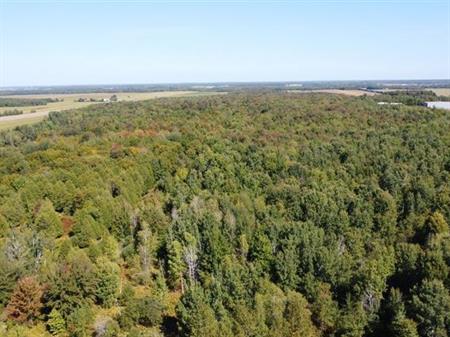 Notre-Dame-du-Bon-Conseil (Centre-du-Québec) : Terre à bois
