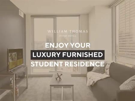 William Thomas | 20 Rebecca Street, Hamilton