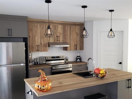 Appart, style CONDO, avec garage à louer