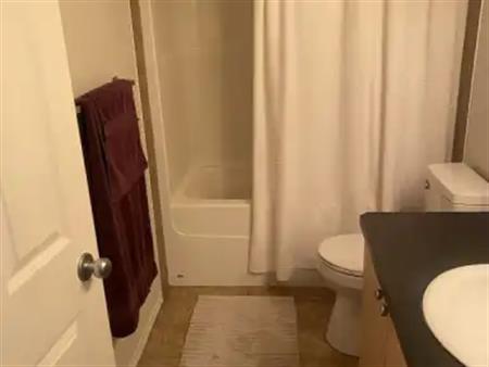 Cozy Furnished Room for Rent-Must love Cats | Calgary