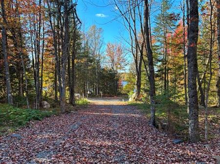 Petit Lac Lambton, Lambton en Estrie. Magnifique terrain boisé de 43 056 pi² situé en 2e rangée, idéal pour réaliser votre pr