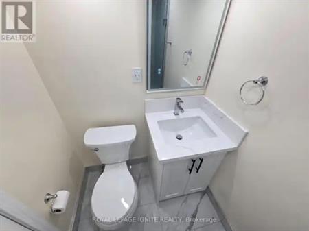 BASEMENT - 764 ELGIN STREET | BASEMENT - 764 ELGIN STREET, Newmarket