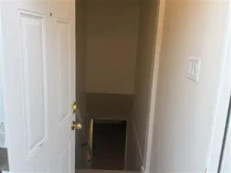Brand new basement in Huntington Hills For Rent | Calgary